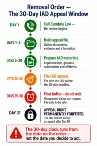 Removal order 30-day IAD appeal countdown timeline — Day 1 file review through Day 28 filing with Day 31 permanent forfeiture warning