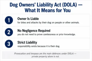 Infographic explaining the Dog Owners Liability Act in Ontario — strict liability, no negligence required
