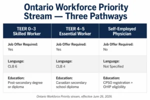 Infographic comparing the three pathways of the Ontario Workforce Priority stream — TEER 0-3, TEER 4-5, and self-employed physicians